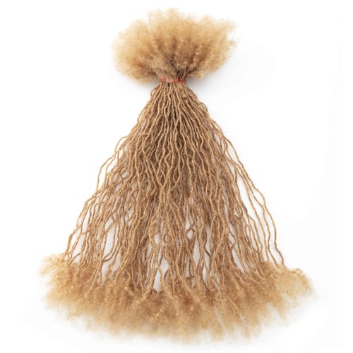 EV&ET Micro Dreadlock Extensions Human Hair,0.2cm Width Afro Kinky Micro Locs Extensions,Can Be Bleached Curled Twisted (#27 40pieces, 12inch 0.2cm)