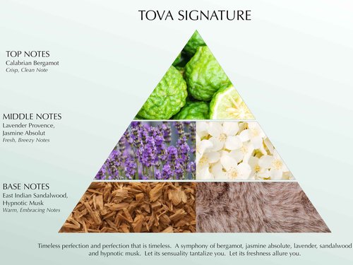 Tova Signature Anniversary Fragrance Set – Fresh Woody Scent – Long-Lasting Eau de Parfum for Women – Bergamot Jasmine Musk – USA-Made & Cruelty-Free – 3.4 fl oz + 0.5 fl oz
