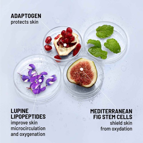 Dr. Brandt iD-STRESS Icy Gel Moisturizer - Revitalize Dull-Looking Skin for a Flawless, Dewy Complexion - 1.7 fl oz, Pack of 2