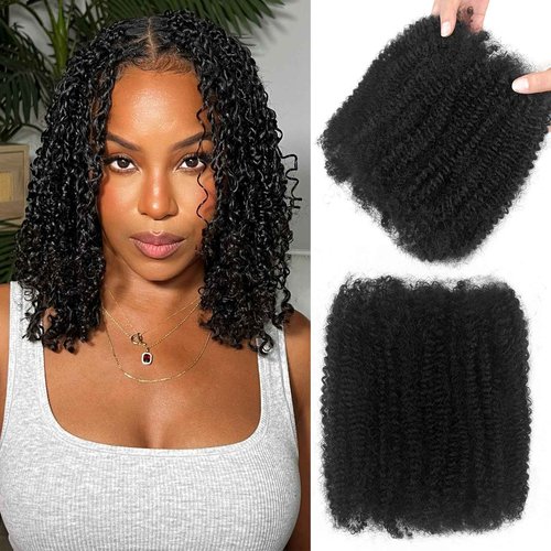 Afro Kinkys Bulk Human Hair For Twist 20 Inch Kinky Curly Human Hair Natural Black For Mini Twists Micro Locs Dreadlock Extensions(20inch 2 Bundles, 1B)