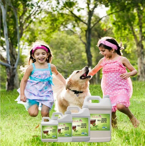 Verdana Pure Neem Oil for Plants – 1 Gallon (128 Fl Oz) – Organic, Cold Pressed, Unrefined, Non-GMO – 100% Natural Spray for Plant Leaf Shine, DIY Beauty, Soap Making – No Additives