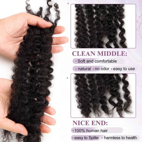 ADIASAI Afro Kinky Bulk Curly Human Hair 20 Inch 50g for Permanent Micro Locs Mini Kinky Twist Braids Loc Extensions Dreadlock Extensions Repair Locs Can Be Bleached Dyed (20inch, Natural Black)