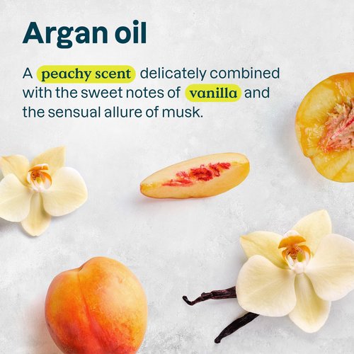 ATTITUDE Color Care Hair Shampoo for Sensitive Dry Scalp, EWG Verified, Soothing Oat, Protects Color, Naturally Derived Ingredients, Vegan and Plant-Based, Color Care, Argan Oil, 16 Fl Oz (Pack of 6)