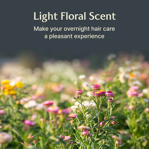 LADOR Snail Sleeping Hair Ampoule Serum - Intensive Overnight Leave-In Mask - Treatment for Frizzy Dry Damaged Thinning Hair Korean Haircare