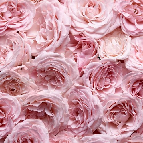 Escada Especially Women's Eau de Parfum 2.5 fl oz