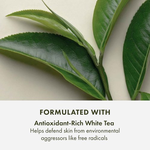 Origins A Perfect World Age-Defense Moisturizer with SPF 40 | Hydrates & Helps Delay Visible Signs of Aging | With Antioxidants, 1.7 Fl Oz (Pack of 2)