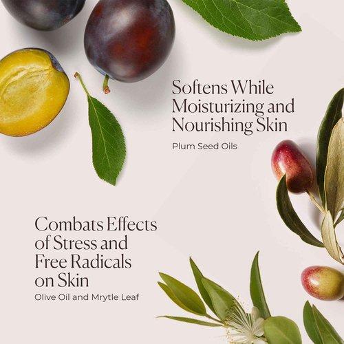 Laura Mercier Delicious & Decadent Ambre Vanille Collection, Serum Body Cream with 48HR Hydration, Hydrating Body Wash to Soften and Smooth Skin, Honey Bath Gel, Foaming Bubble Bath, Holiday Gift Set