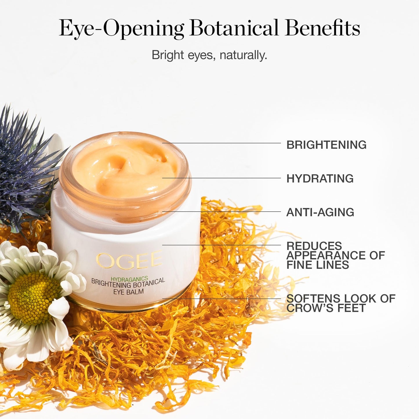 Ogee Botanical Eye Balm - Certified Organic Brightening Eye Cream for Dark Circles and Puffinesss - Made with Natural Retinol Alternative & Hyaluronic Acid