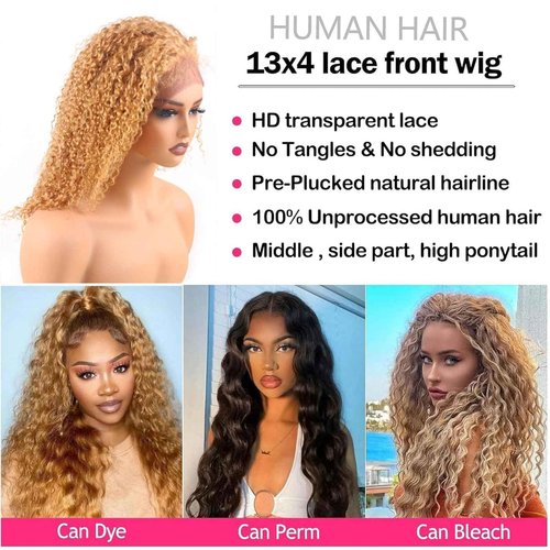 ManeMajesty 18 Inch Honey Blonde Kinky Curly Lace Front Wigs Human Hair 180% Density Afro Curly Wigs 13x4 360°Full Lace Lace Frontal Wig Pre Plucked 12A Brazilian Glueless Wig for Black Women #27