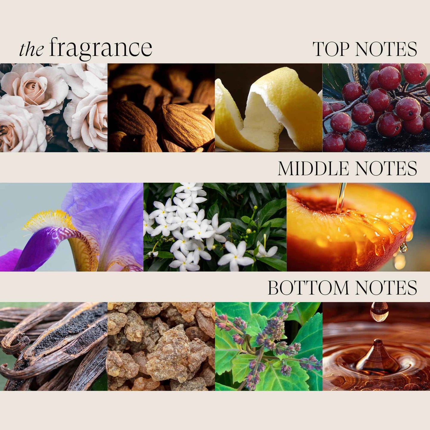 L'ANZA Keratin Healing Oil Conditioner for Dry Damaged Hair, Moisturizing, Detangles, Reduces Breakage, Adds Shine, Anti-Frizz, Color Safe Anti-Humidity Strengthening Care, Sulfate Free (32 Fl Oz)