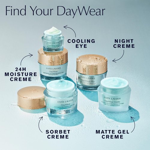 Estée Lauder 24/7 Hydration Duo | Protect + Hydrate with Anti-Oxidant Moisturizers | DayWear 24H-Moisture Cream SPF 15 for Normal/Combination Skin 1.0 Ounce & NightWear Plus Detox Cream 1.7 Ounce