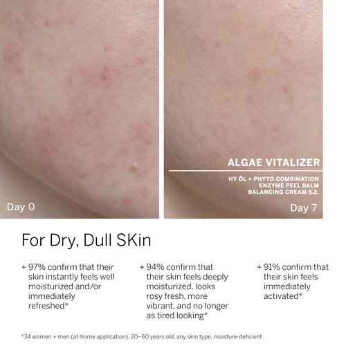 BABOR Hydra Plus & Algae Vitalizer Ampoule Concentrate Bundle