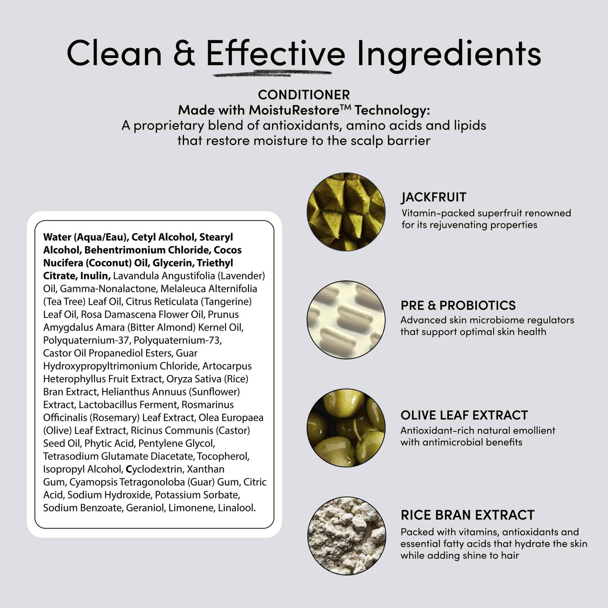 Jupiter Hydrating Shampoo, Conditioner, and Scalp Moisturizer Set – Moisturizing, Nourishing, and Strengthening Hair Care – Daily Scalp & Hair Hydration – Color-Safe, Sulfate-Free, Paraben-Free