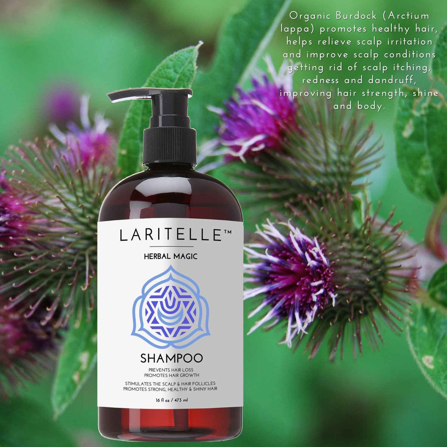 Laritelle Organic Unscented Shampoo | Hair Strengthening & Clarifying | Hypoallergenic, Sulfate-Free | With Rosemary & Saw Palmetto