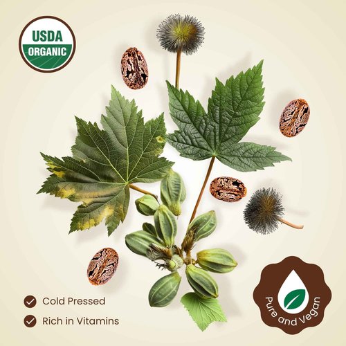 BodyJ4You Castor Oil for Eyelashes Eyebrows - 100% Pure Natural USDA Organic Cold Pressed - Hydrating Skin Hair Growth Lashes Scalp - Non-GMO Hexane Free Unrefined - Glass Bottle 1 Fl Oz (Pack of 24)