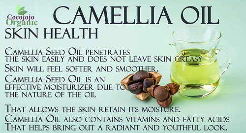 Dr Joe Lab Camellia Seed Oil 128 oz Pure Natural Cold Pressed Unrefined Extra Virgin Camellia Oil 1 Gallon - for Hair Skin Body Nails and Beard - Moisturizing, Soothing, Hydrating, & Nourishing