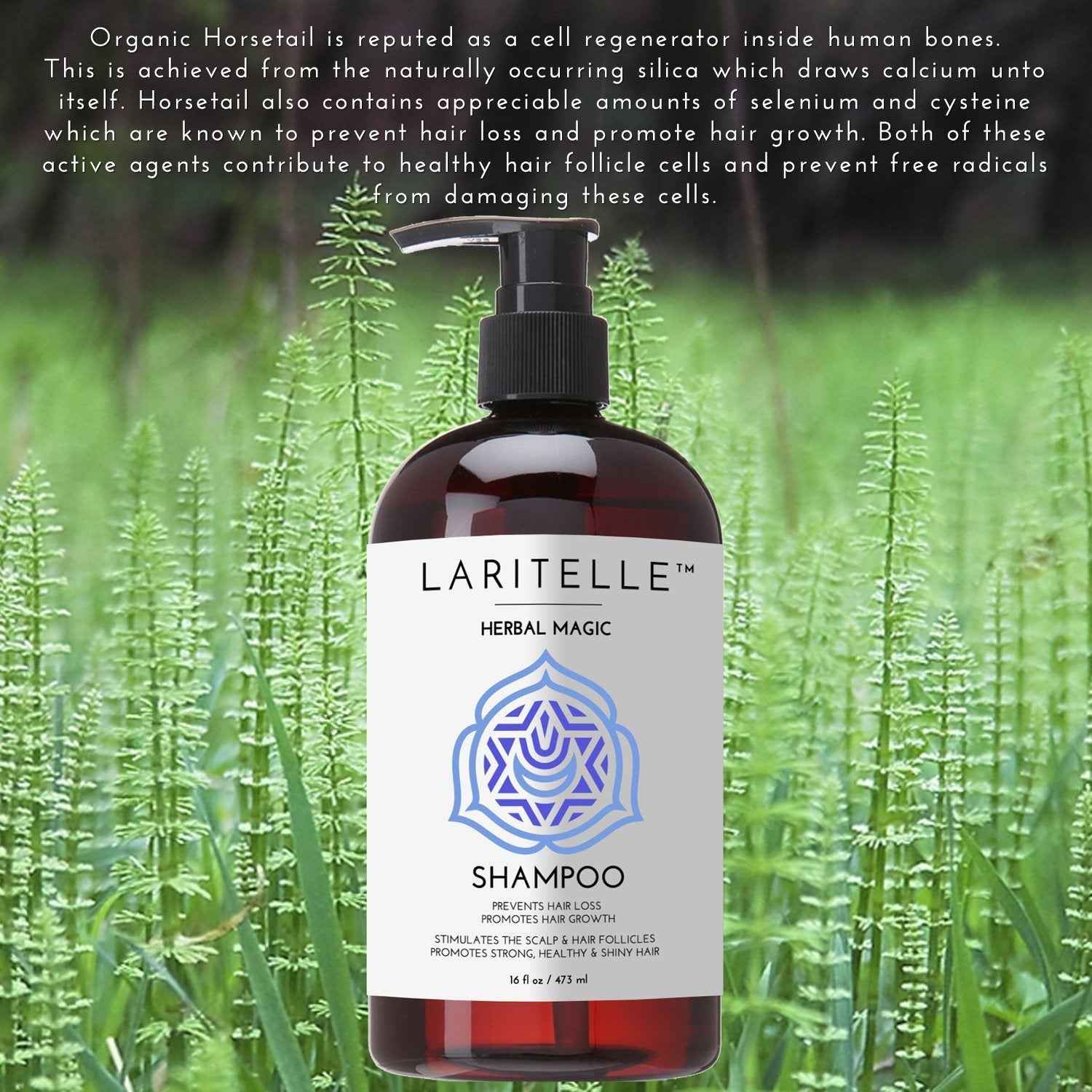Laritelle Organic Unscented Shampoo | Hair Strengthening & Clarifying | Hypoallergenic, Sulfate-Free | With Rosemary & Saw Palmetto