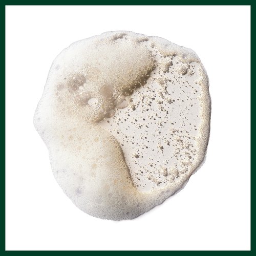 Aveda Pure Abundance Volumizing Shampoo & Clay Conditioner Set | Adds Body & Boosts Volume for Thin, Fine Hair