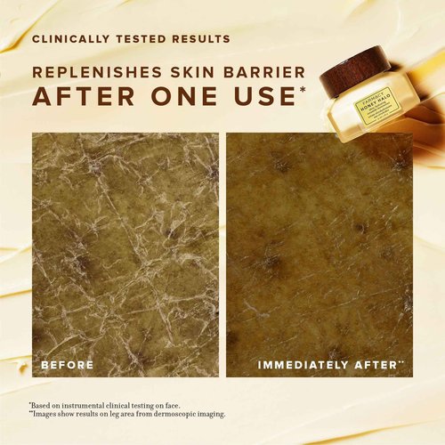 Farmacy Ceramide Face Moisturizer - Honey Halo Hydrating Facial Moisturizer for Dry Skin - Plumps, Soothes + Restores Skin with Potent Ceramides + Buckwheat Honey for a Dewy, Healthy Glow (100ml)