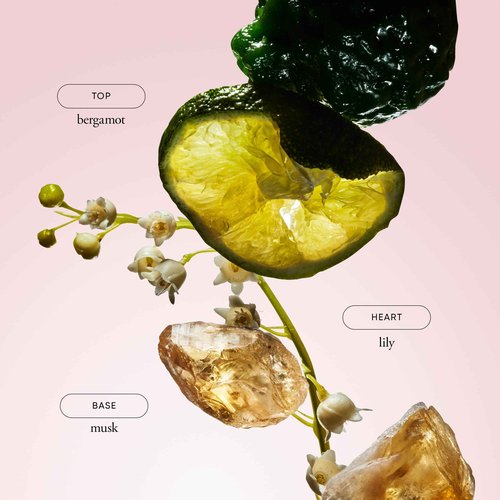 philosophy amazing grace eau de parfum - clean & floral women's perfume - with notes of bergamot, lily of the valley & musk - long lasting fragrance - 2 fl oz