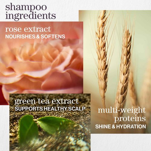 Pureology Hydrate Shampoo & Conditioner Set - For Dry or Color-Treated Hair, Intense Hydration & Softness, With Rose Extract & Green Tea, Vegan & Sulfate-Free, 9 Fl Oz