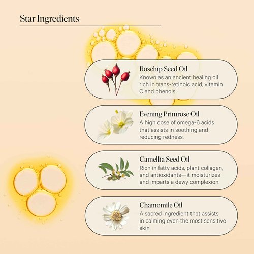 Facial Oil Gift Set- Skin Care Kit for Women- Smoothing, Quieting Moisturizer & Hydrator- Daily & Overnight Use- Beauty Travel Size Skincare Set- Ideal Gift for Women & Teens- Mini Bar by Biography