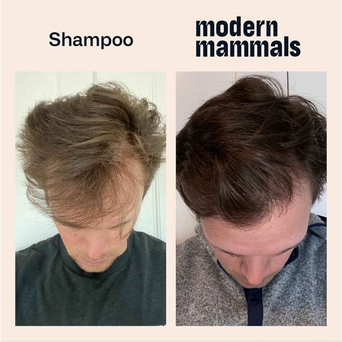 Modern Mammals Light Shampoo Bar - Gentler Wash for Better Hair, Minimalist Hair Care, Low Lather, Sensitive Scalps, No Poo, Vegan, Natural Ingredients, Fragrance-Free (4 Pack x 2.4oz Bars)