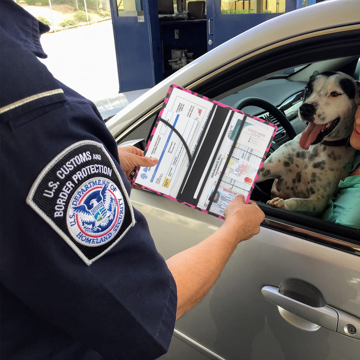 LumiMokki Premium Car Registration & Insurance Card Holder with Magnetic Shut, Vehicle Glove Box Car Organizer - For Documents, Cards, License (Leopard B)