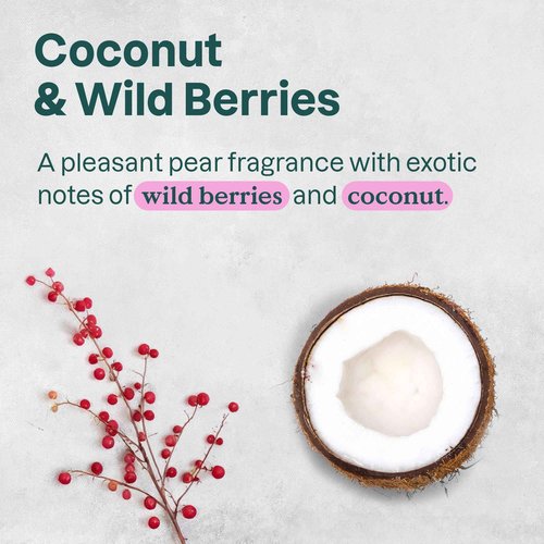 ATTITUDE Liquid Hand Soap, EWG Verified, Plant and Mineral-Based, Vegan Personal Care Products, Coconut & Wild Berries Scent, 16 Fl Oz (Pack of 6)