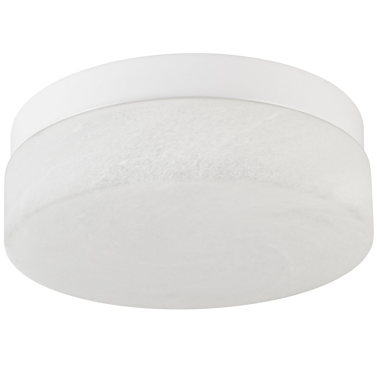 12 Inch LED Flush Mount Ceiling Light - 24W Round Fixture for Home