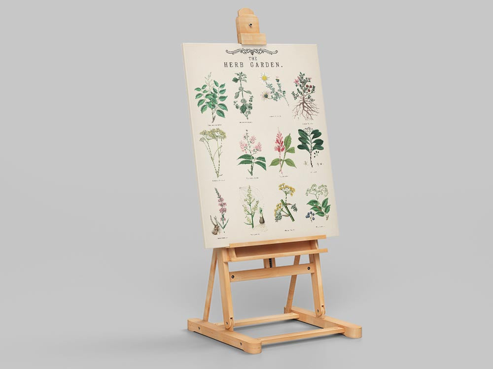 Herb Garden Botanical Poster Wall Art - Modern Minimalist Canvas Print