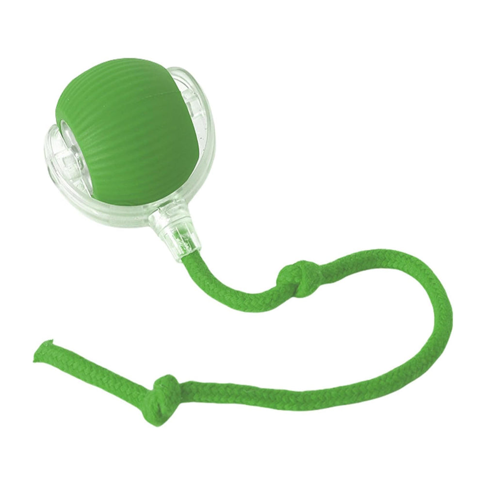 Interactive Electric Pet Ball Toy for Cats and Dogs - Indoor & Outdoor Play