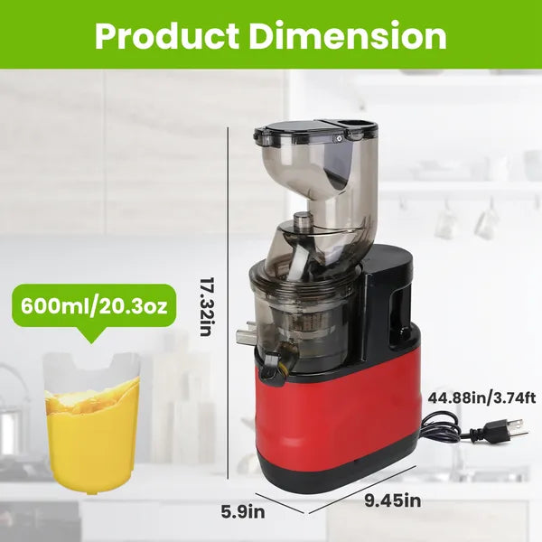 Cold Press Juicer Machine 300W Slow Masticating Juicer with Pulp Containers