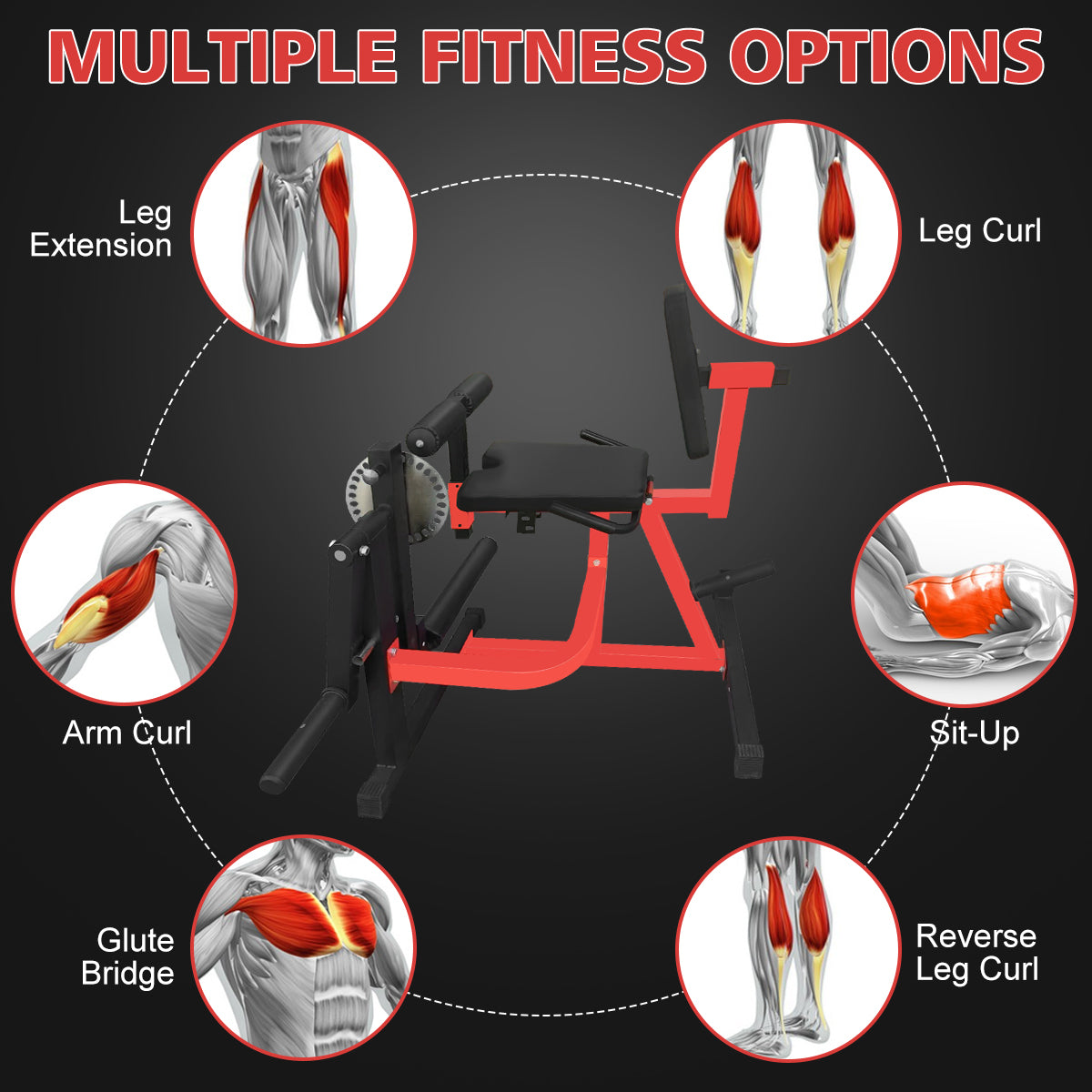 Adjustable Leg Extension and Curl Machine for Home Gym