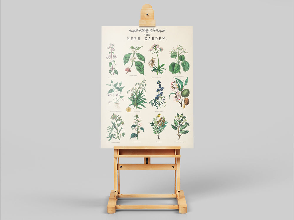 Herb Garden Botanical Poster Wall Art - Modern Minimalist Canvas Print