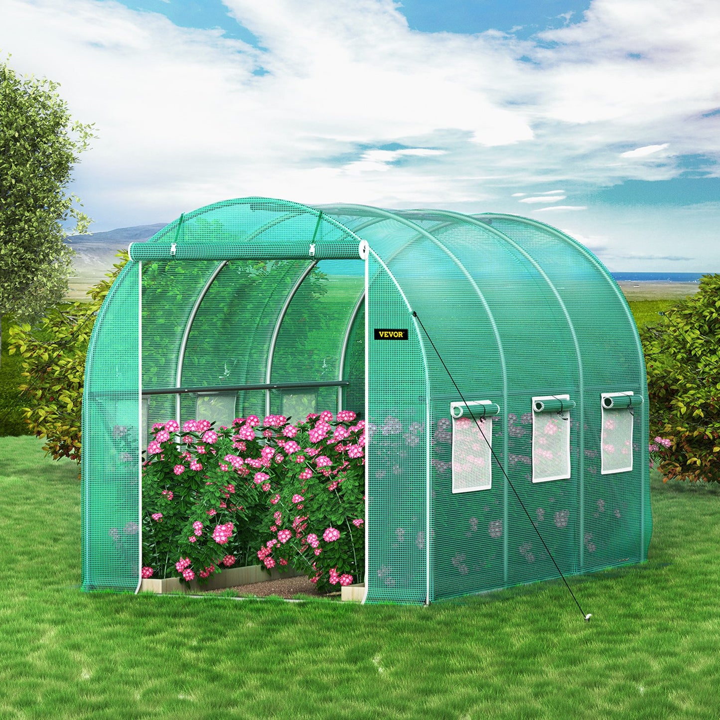 Walk-In Tunnel Greenhouse 9.8x6.6ft Portable Plant Hot House with Galvanized Steel Frame