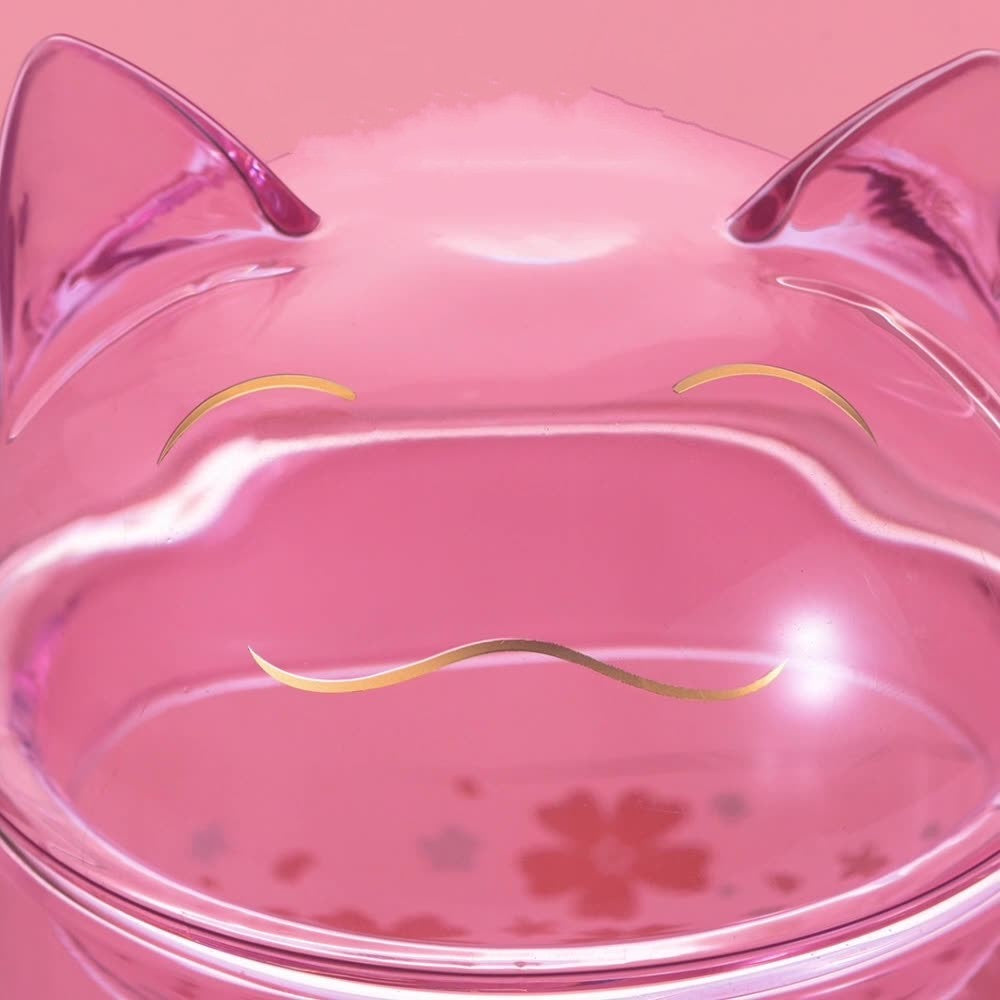 Heat-Resistant Double Layer Borosilicate Glass Cup for Hot Drinks
