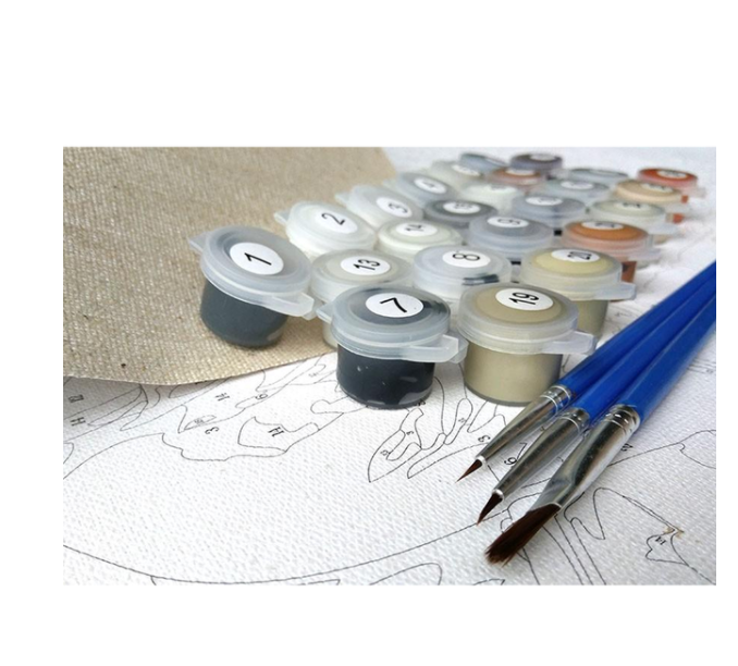 40x50cm DIY Digital Oil Painting Canvas Art with Brush & Paint Set