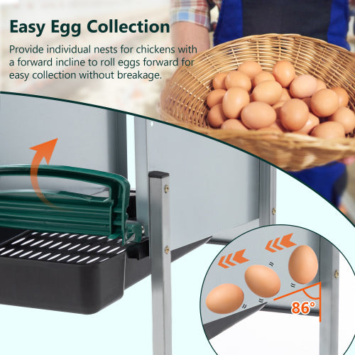 Green Chicken Nest with Legs and Cover, Egg Collection System, Durable Metal