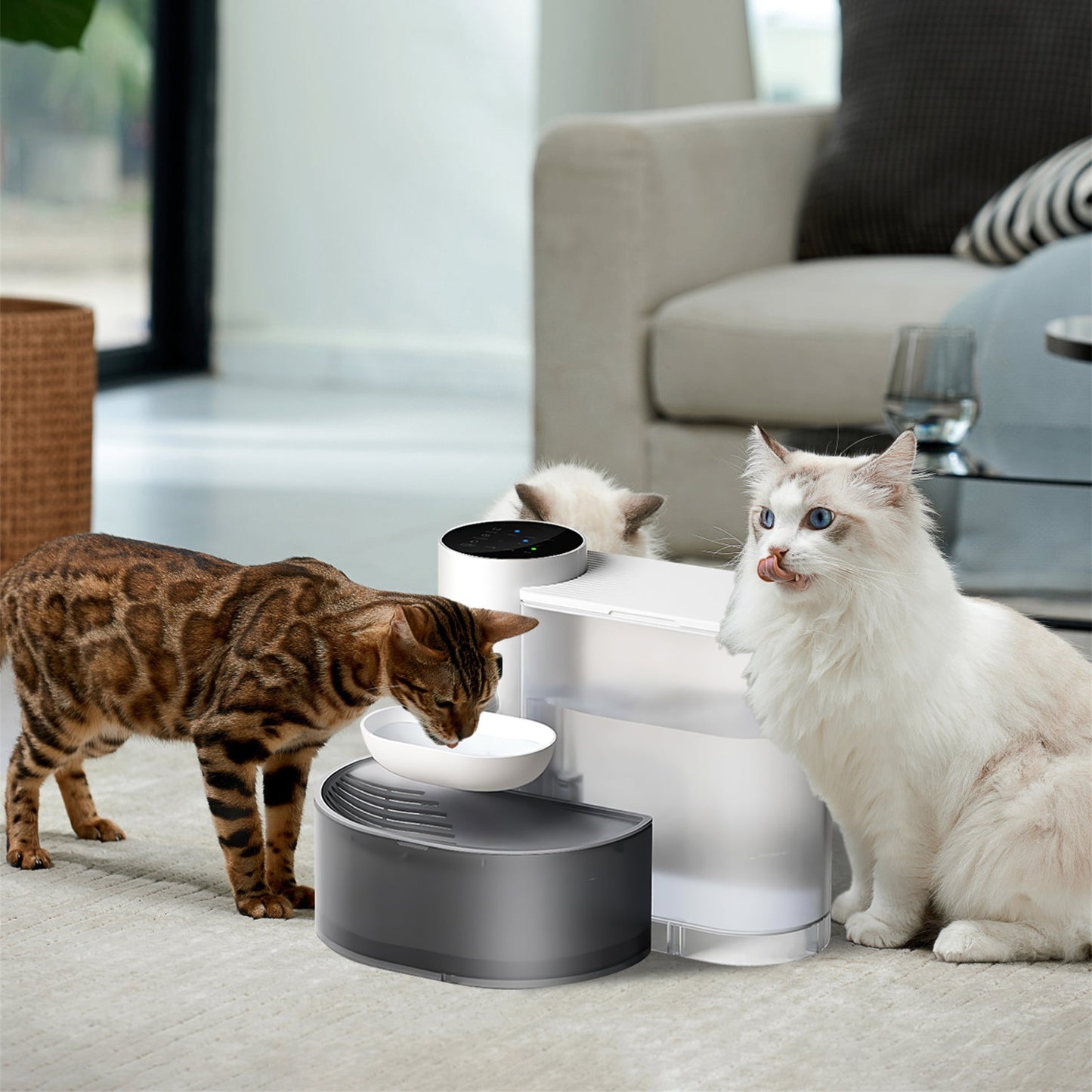 Automatic Pet Water Fountain 3L Rechargeable Cat & Small Dog Dispenser