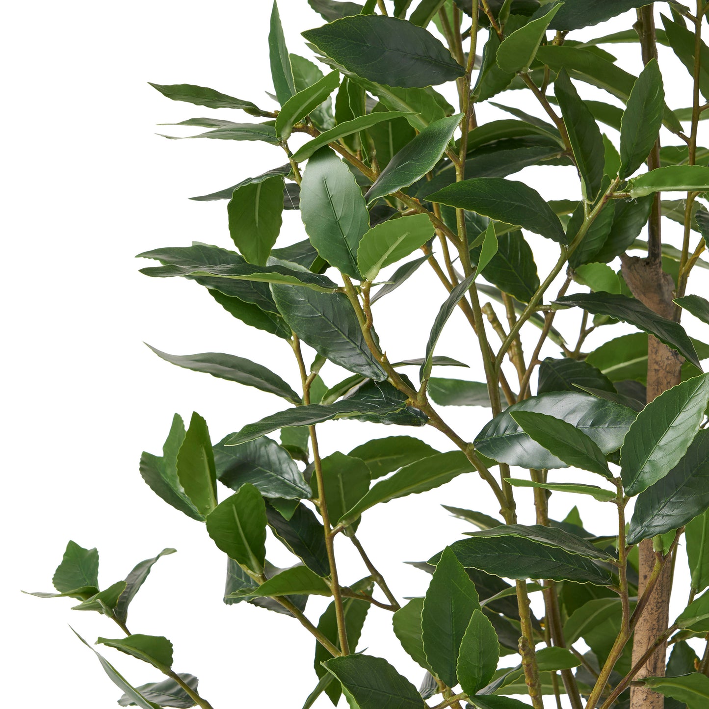 150CM ARTIFICIAL LAUREL TREE