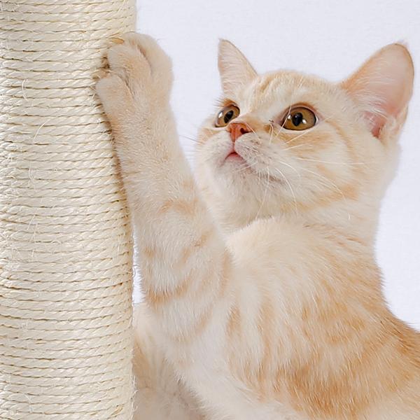 Indoor Cat Scratching Post and Interactive Toy Track Set - Small Cats