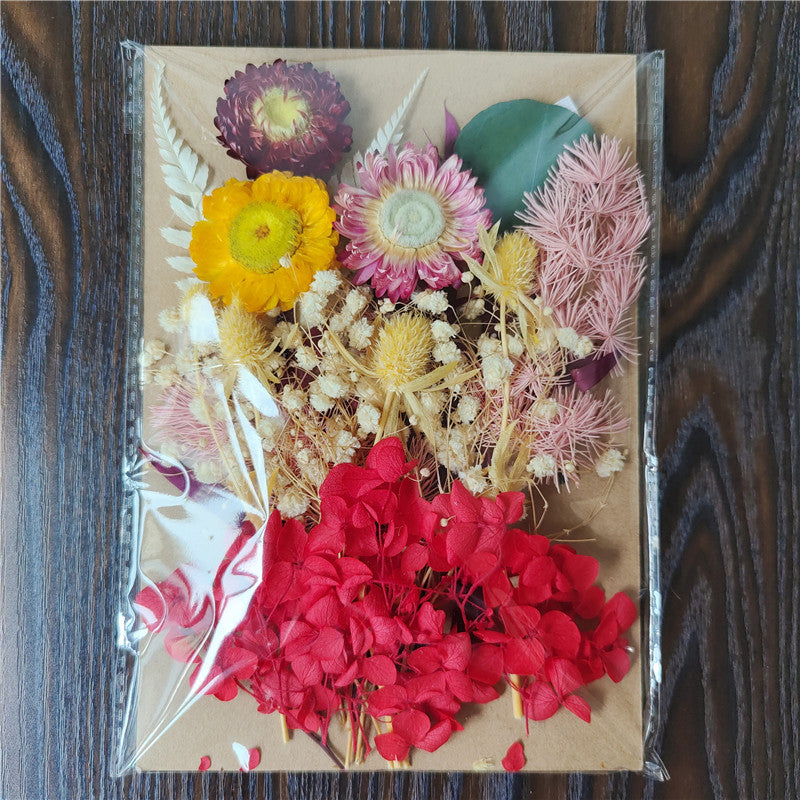 Dried Flower Material Pack for Candle & Photo Frame Decoration - Multiple Styles