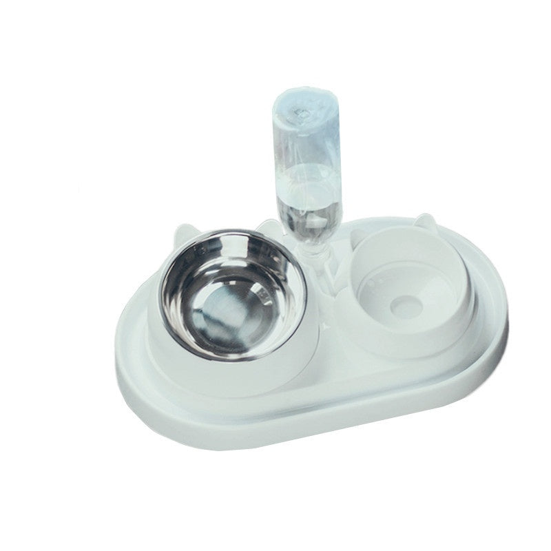 Stainless Steel Double Pet Food Bowl with Oblique Mouth for Cats and Dogs