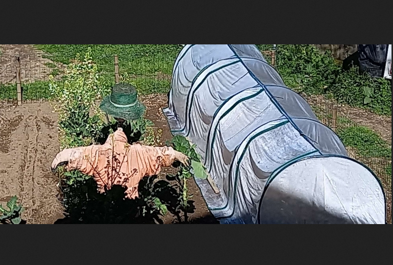 Portable Greenhouse with 4 Zippered Doors - Dark Green