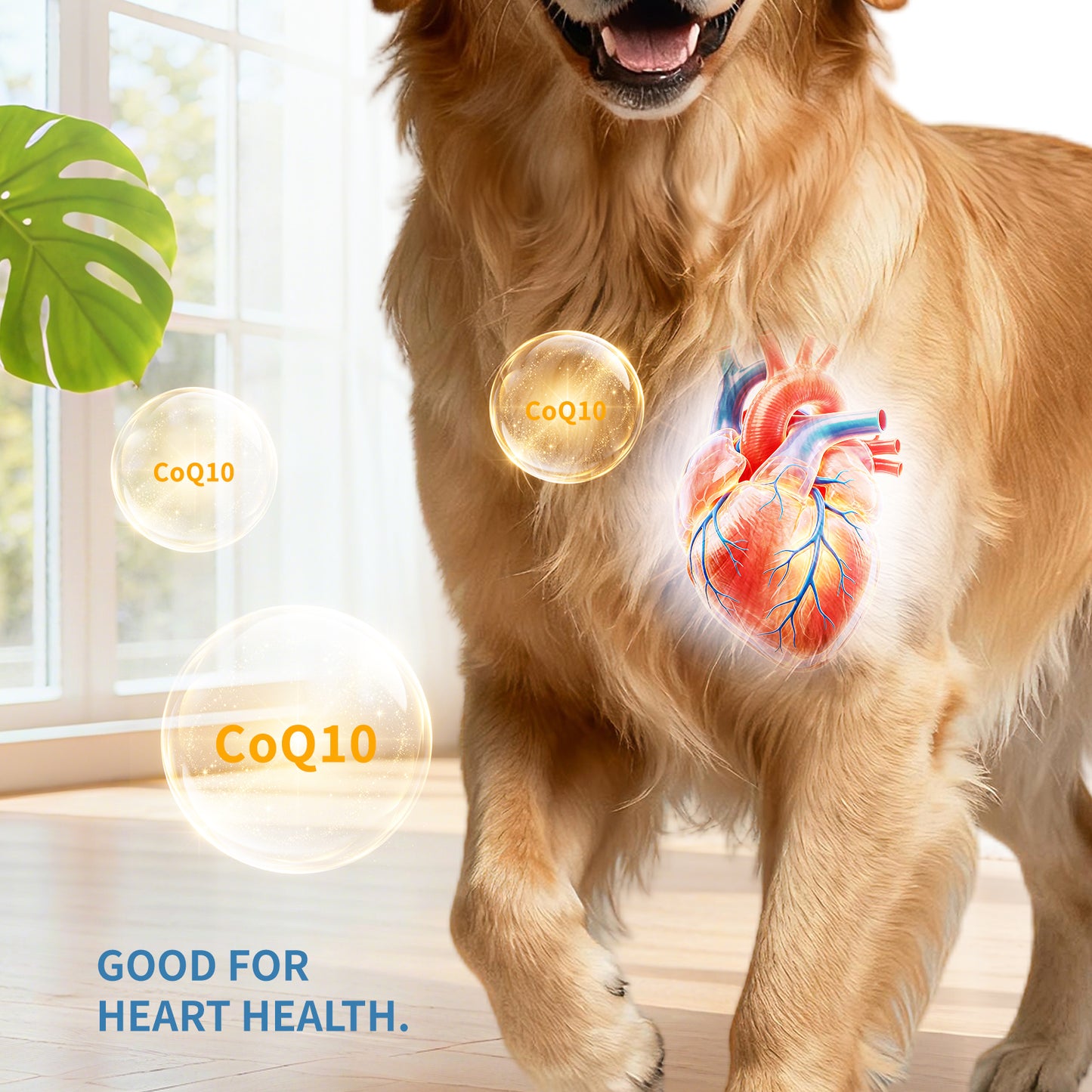 Multivitamins for Dogs - Pet Snacks for Health & Vitality