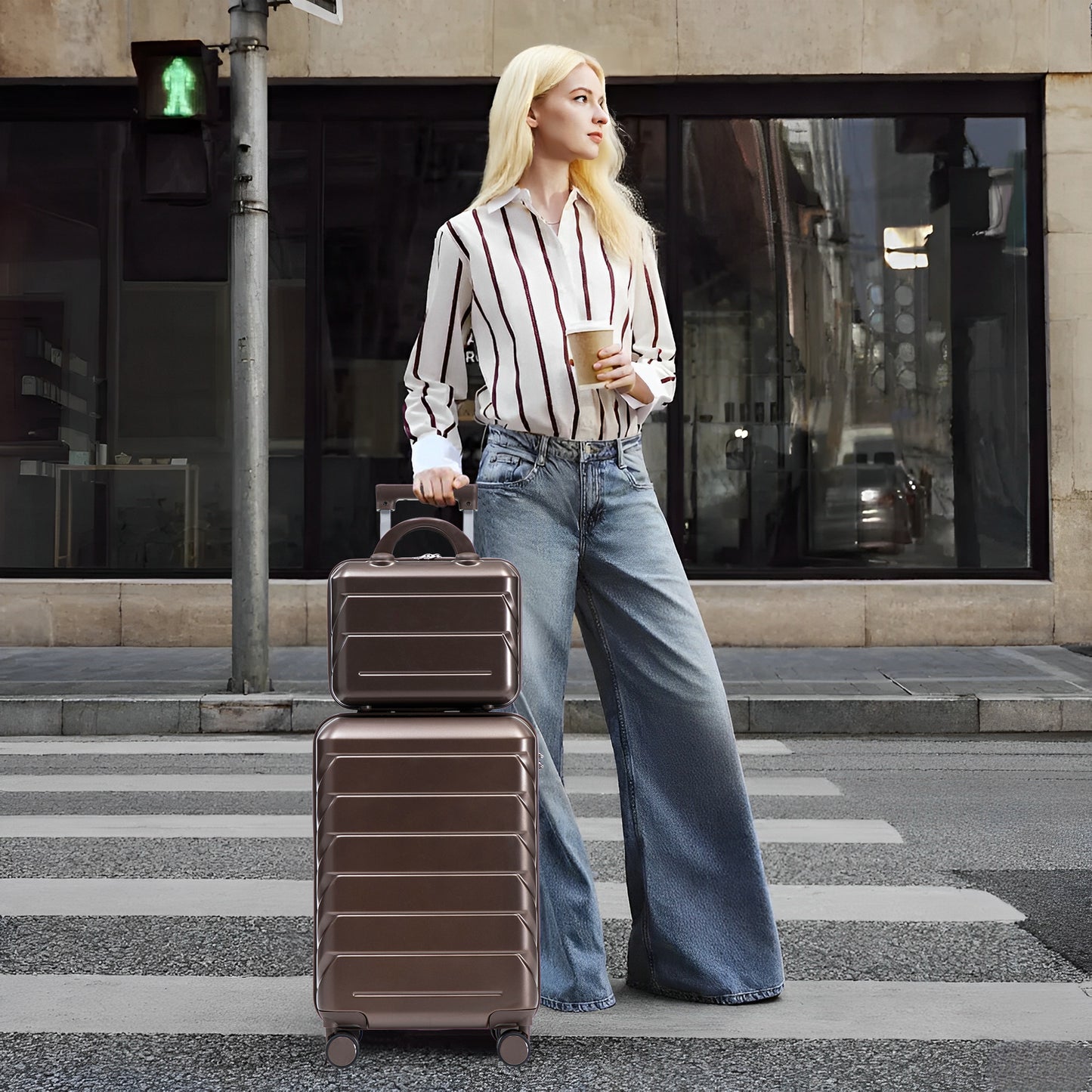 14 20 2 Pcs Set In ABS Spinner Wheel Luggage, With Combination