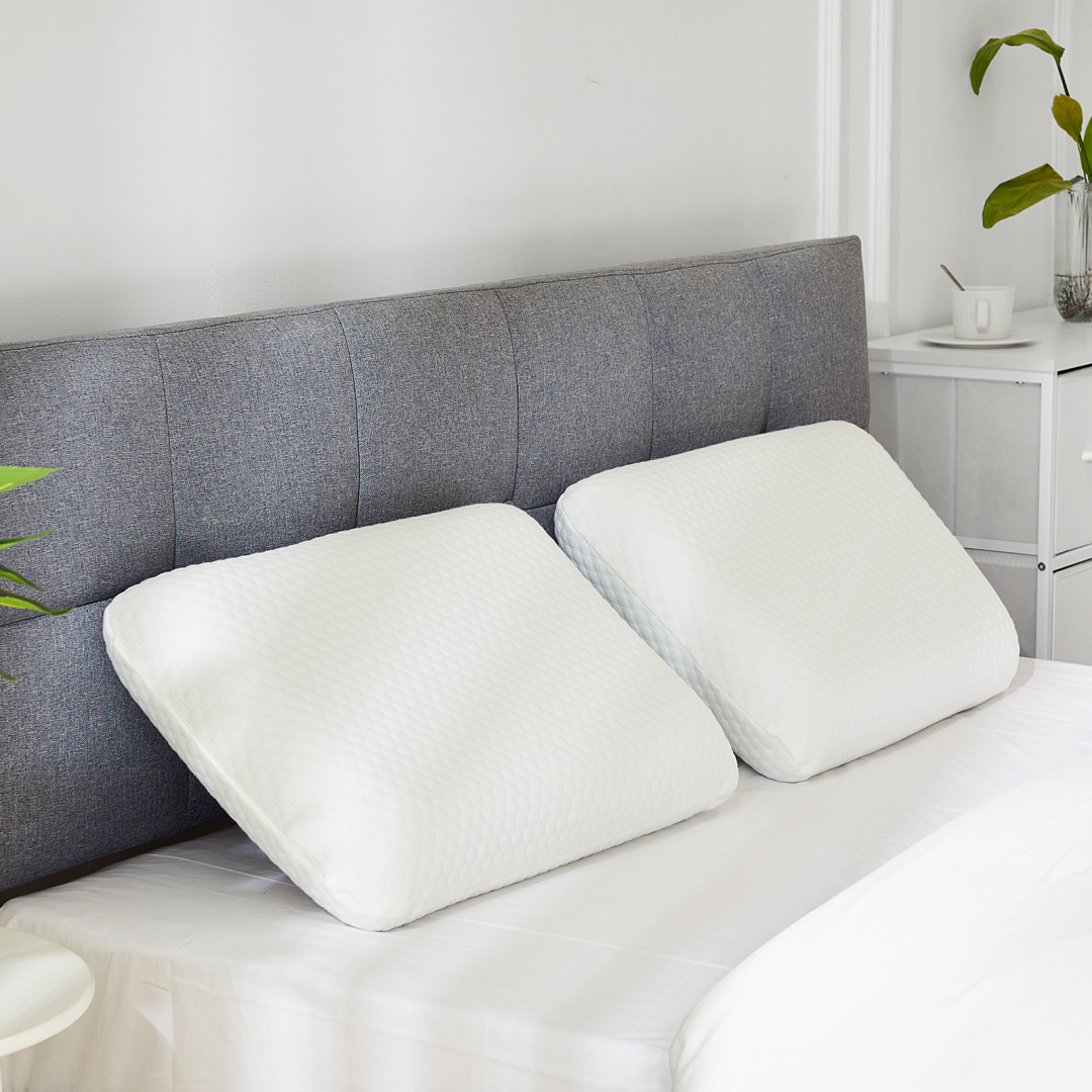 Ergonomic Memory Foam Pillow with Washable Pillowcase - 2 Pack