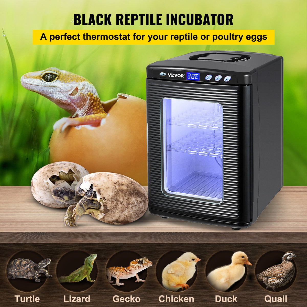 Black Reptile Incubator 25L Digital Pet Egg Incubator with Temperature Control