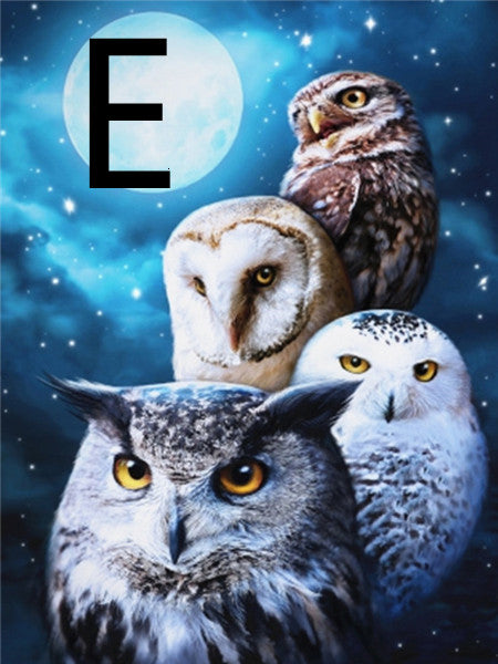 Owl Night Tree Pattern Embroidery Cross Stitch Kit - 5D Diamond Painting
